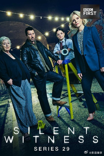 无声的证言第二十九季(全集)
